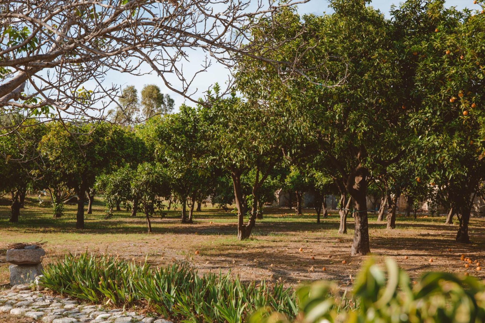 Agriturismo Villa Vittoria Guardavalle Luaran gambar