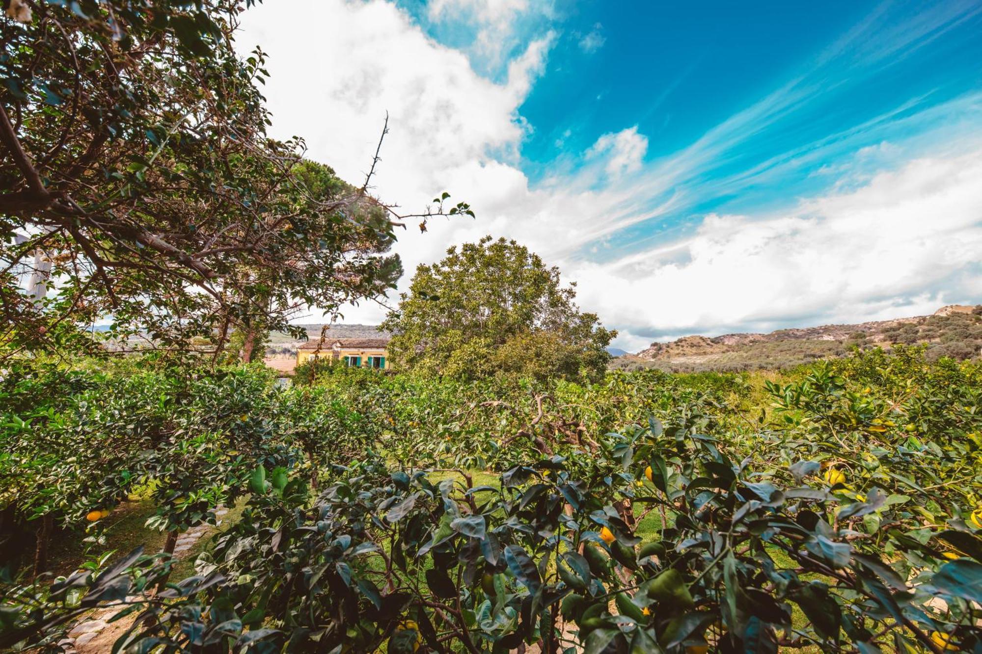 Agriturismo Villa Vittoria Guardavalle Luaran gambar